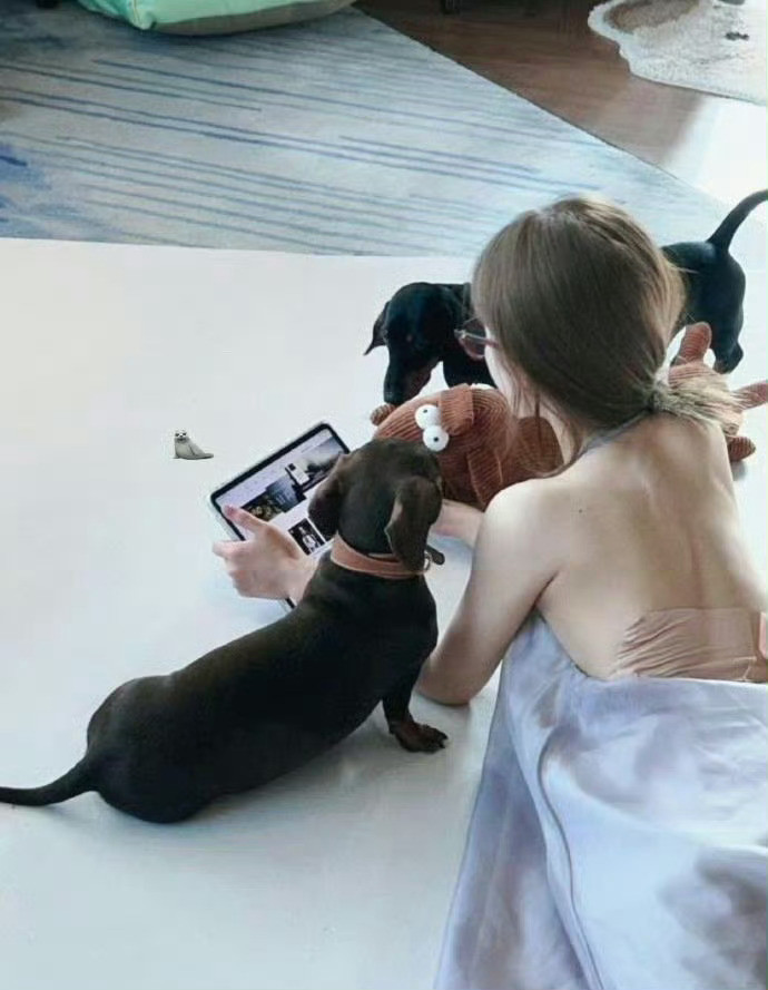 赵露思好可怜，又瘦又小背上贴满了膏药，看了好心疼