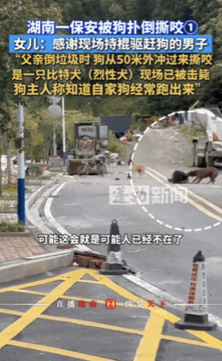 湖南，男子出门倒垃圾时遭遇比特犬疯狂撕咬，这只体重超80斤的烈性犬将男子扑倒后持