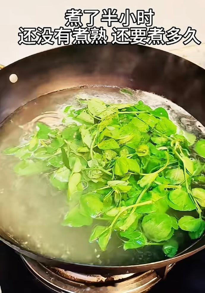 《如何一句话激怒所有四川人》哈哈哈哈哈哈哈