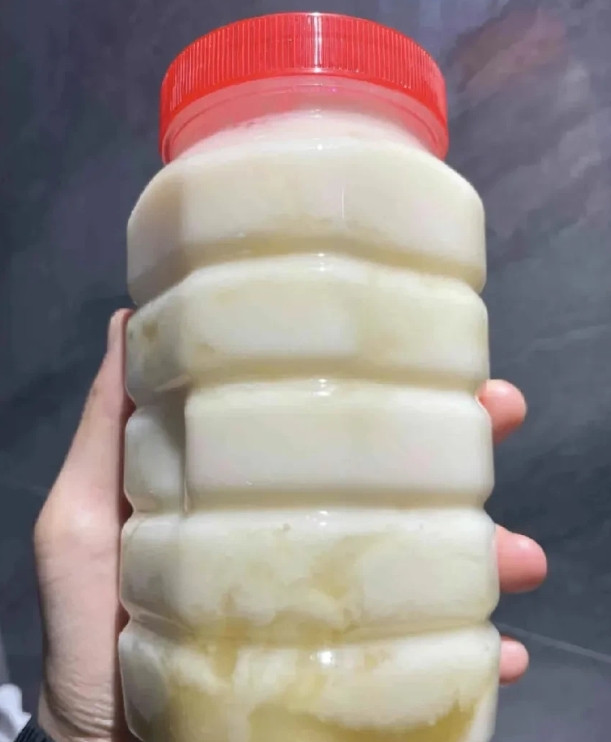 昨天花了500块在老同学买了一瓶野生百花蜜。老同学他爸爸自己养的蜂，听说都是