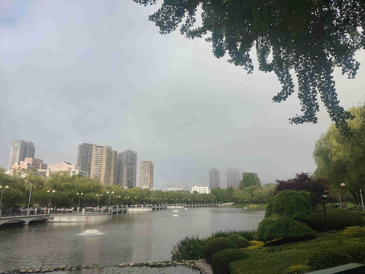 我的今日状态：🥲强颜欢笑我这里的天气：🌤️多云大连儿童公园明泽湖畔遭遇