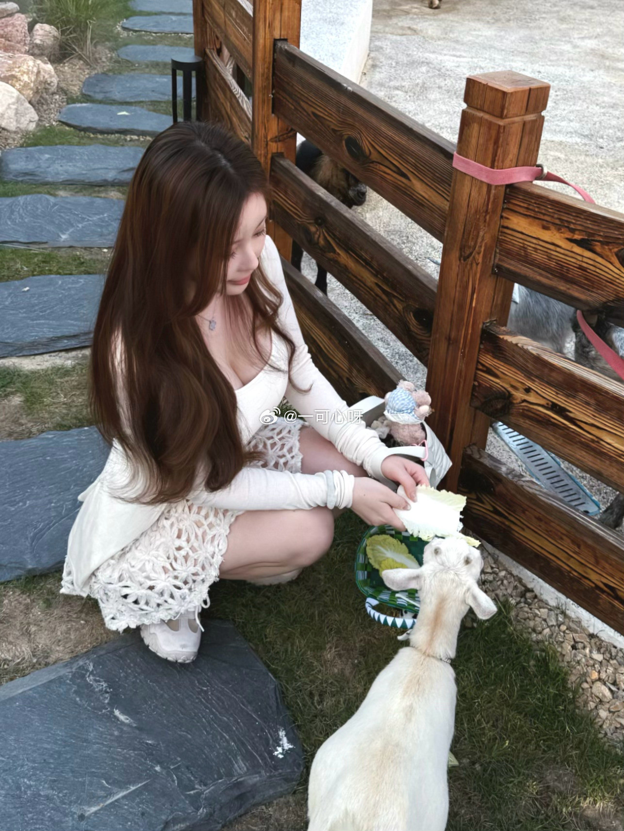 可可爱爱的小动物🐇我的日常plog动物美女穿搭​​​