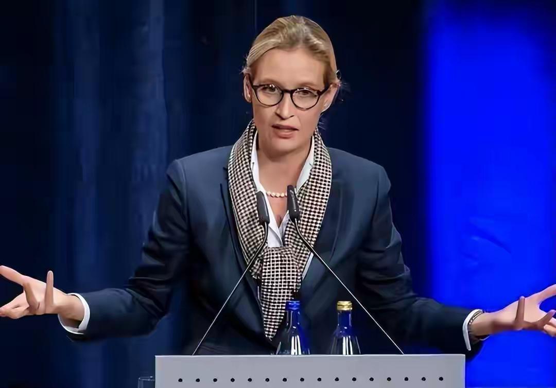 ​德国民众普遍的认为，选择党魏德尔的领导水平的确卓越，但是她仍然很难成为德国的下