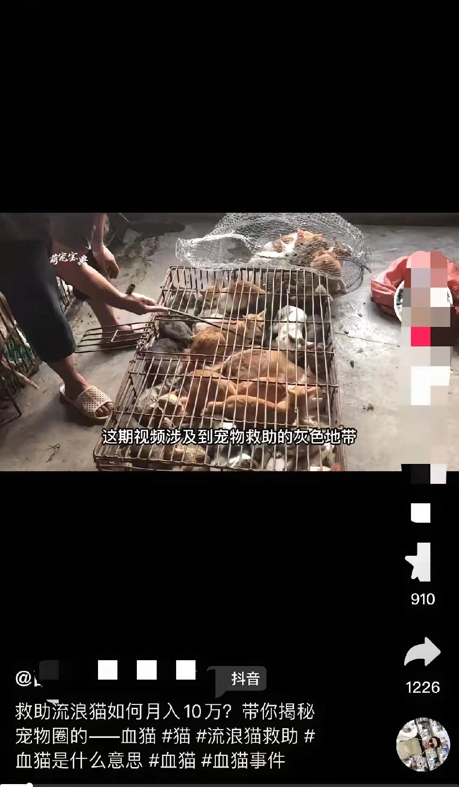 广东陈女士家的猫输个血就没了!这事细想太吓人——她伪装成买血的去查,竟看到数十只