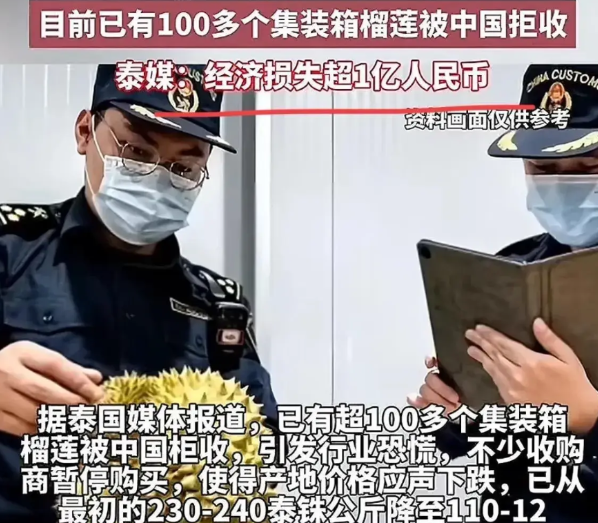 号称水果之王的榴莲终究逃不过科技与狠活，为了能让榴莲有个好卖相，不法商人将树上摘