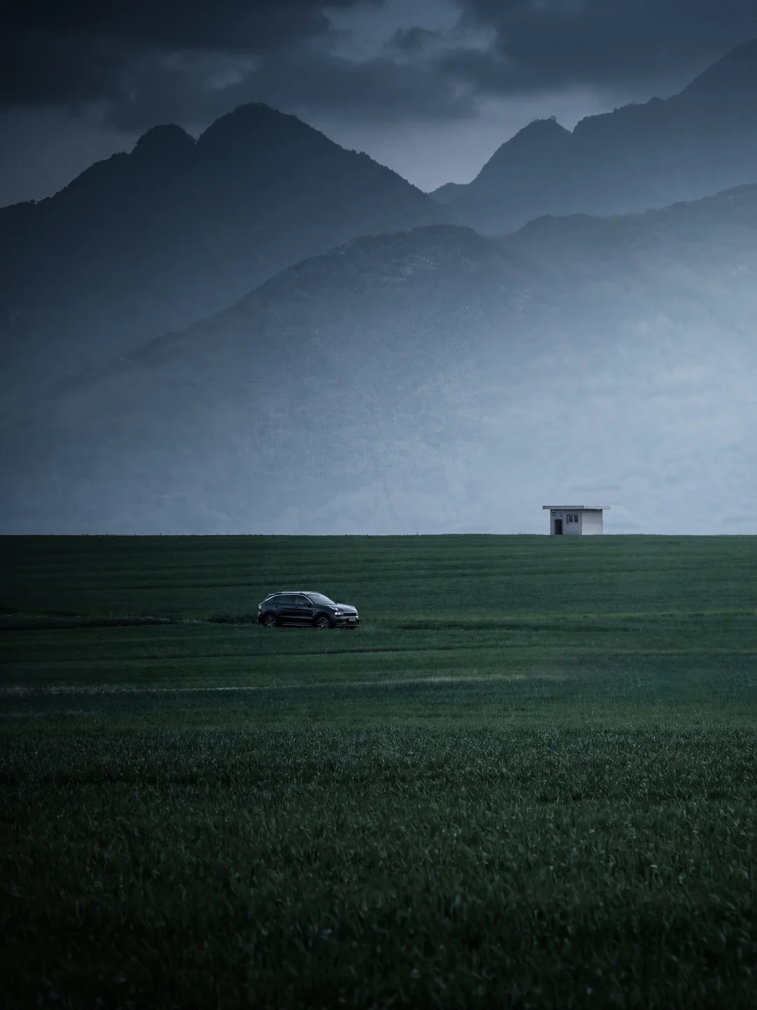西安丨风吹麦浪，车赴山野