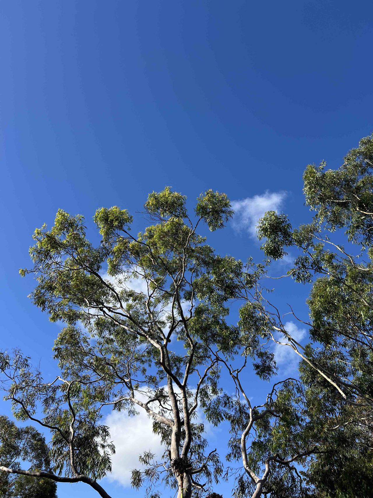 听火葬场火化工这番话，着实令人茅塞顿开。“一天焚烧61具遗体，那场景该是何等震撼