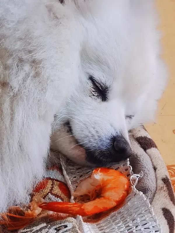 吃好睡好，少生气，心放宽，就是我最好的养生理念。八种养生方法养生要领