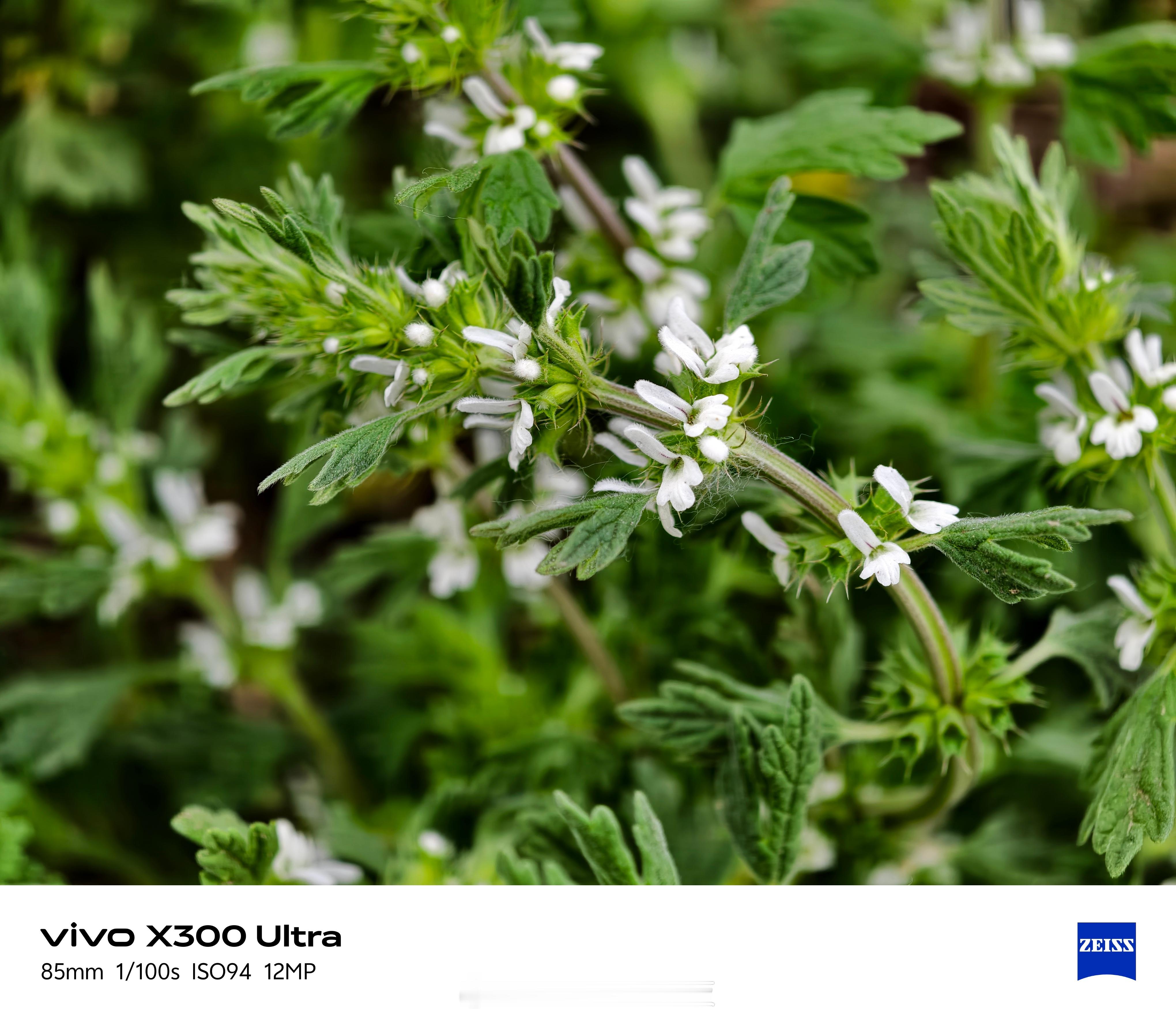 vivoX300UltravsX200Ultra！两代影像旗舰85mm