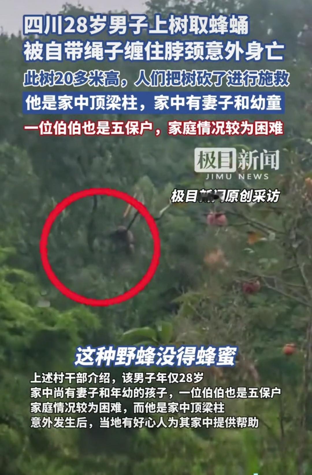 太惨了一个家的顶梁柱没想到以这个方式走了四川一28岁男子爬上一棵二十多米高