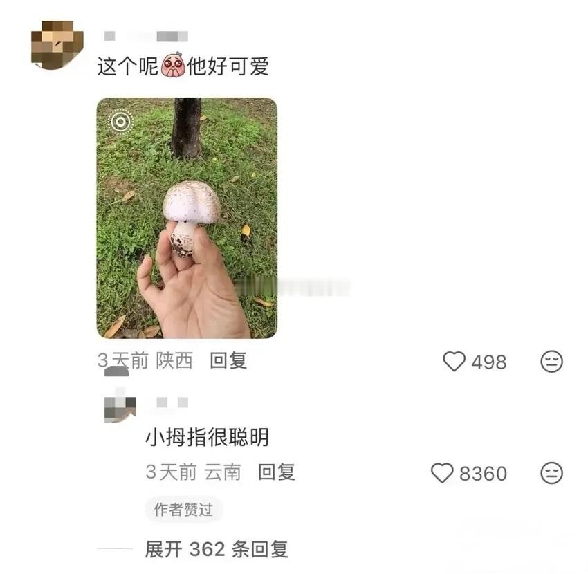 小拇指确实很聪明
