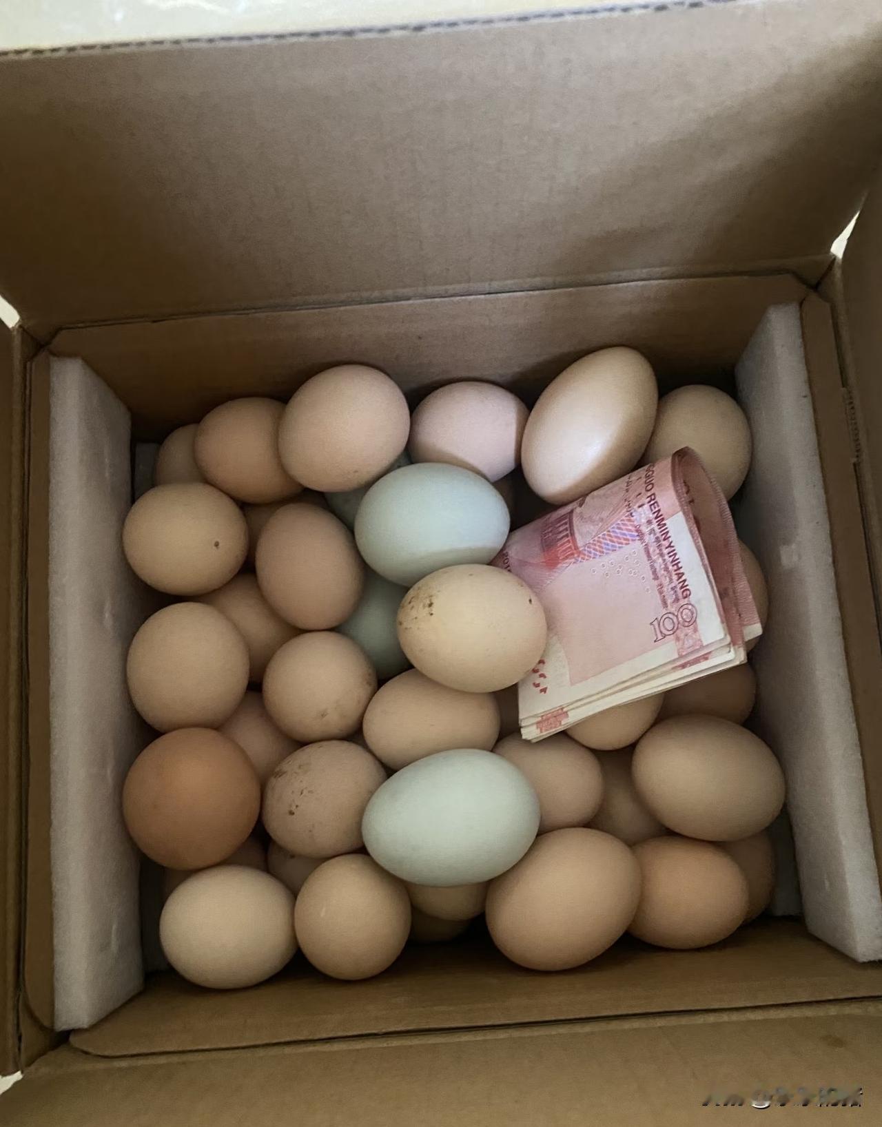 昨天才打开节前给二舅送节礼，二舅硬给我们塞进车里的一箱鸡蛋，里面竟然还有五百块钱