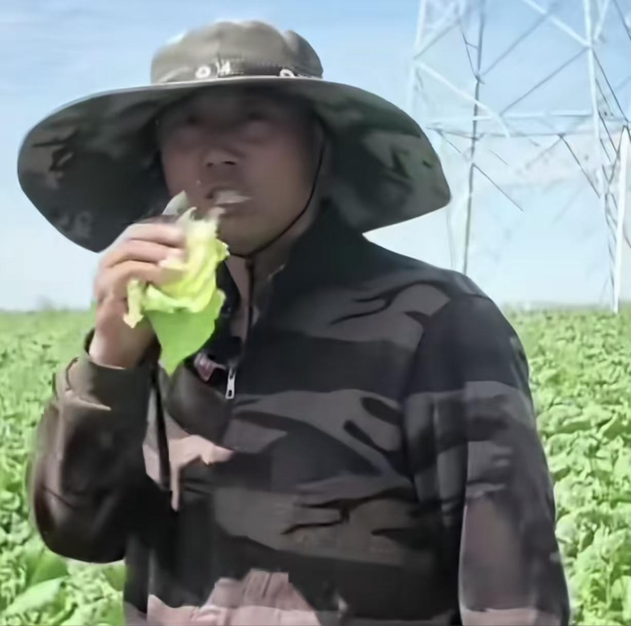 “一颗老鼠屎坏了一锅粥！”河北张家口，一男子种白菜。“甲醛风波”后，收购价从每亩