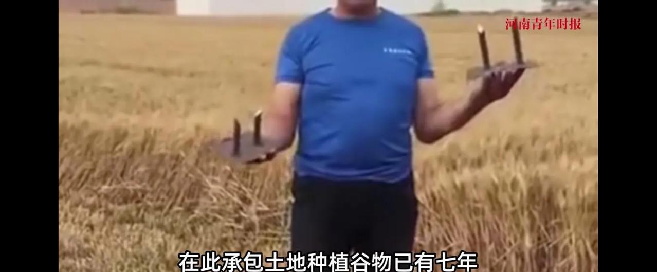 河北临漳麦田藏钢筋事件，同时两个视频，一个年轻女子开收割机，遇到了麦田藏钢筋，收