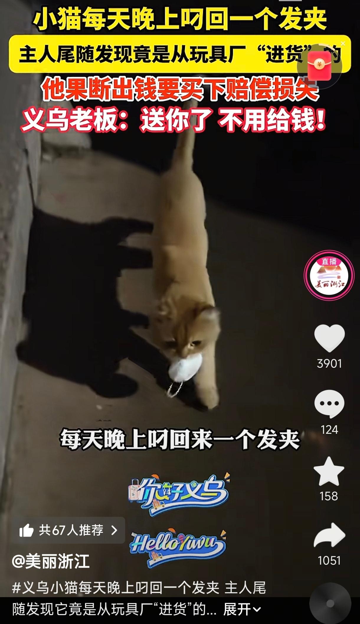浙江义乌，一男子发现自家的猫最近有了个“怪癖”，每晚都要出去溜达，回来时嘴里准叼