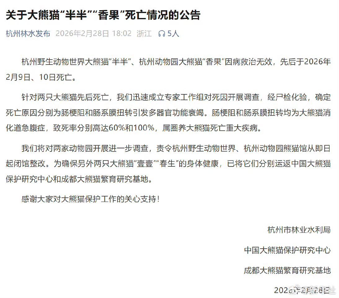 大熊猫半半香果离世我的天啦不过这个肠扭转真的基本上没有能久回来的