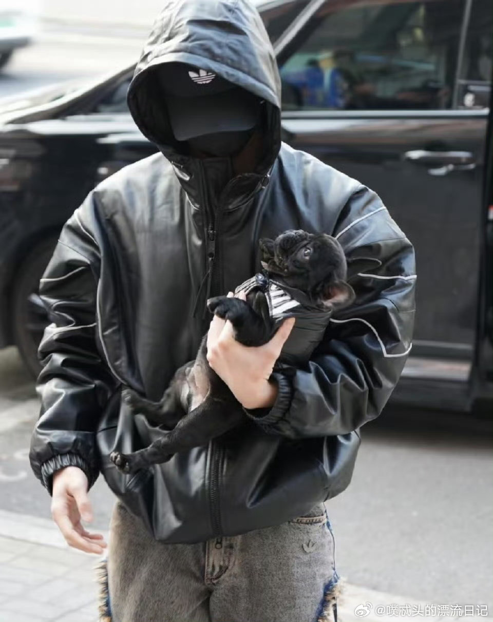 何与养狗了何与抱狗上班何与喜提黑色小法斗，上班都要带着，软萌乖巧超听话，可爱到