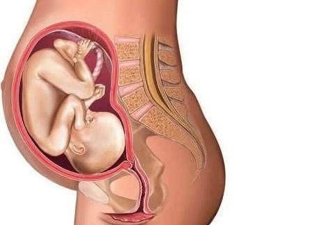 宝宝面部长了两根“肉管”代替鼻子, 爸妈称他是天使