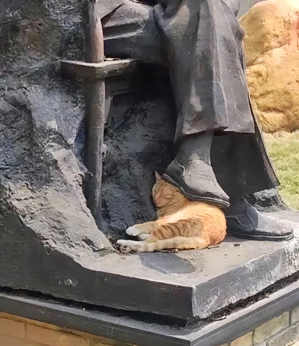 有了猫，连雕像好像都有了生命