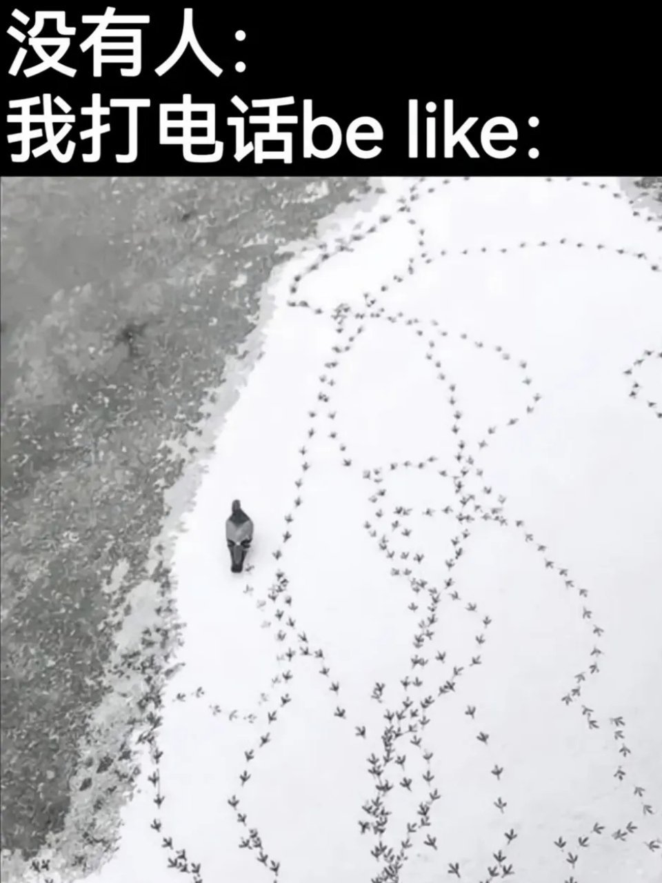 打完电话步数第一名了meme​​​