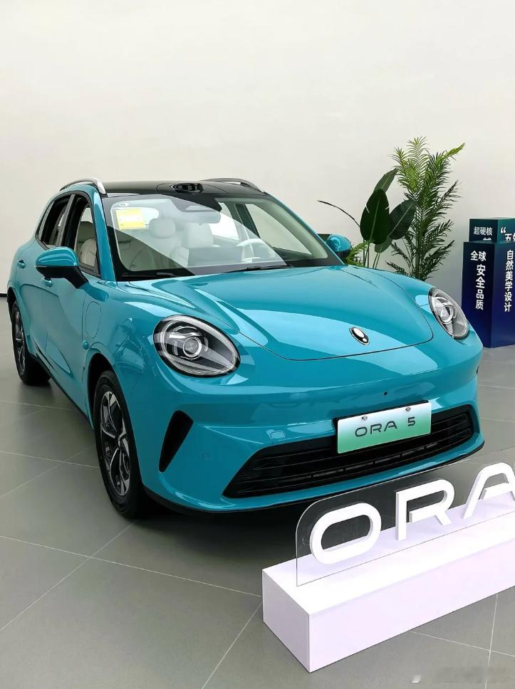 长城欧拉5上市：它能不能成为大家10万级纯电SUV的靠谱选择呢？今天去店里见了刚