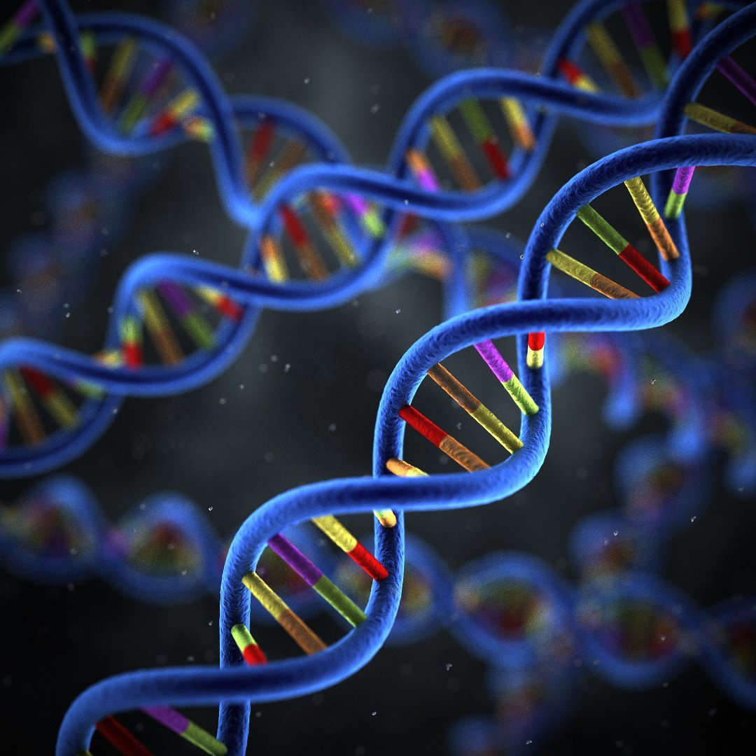 全球首个百亿级人类基因组基础模型Genos的出现让我对基因科技充满期待！以前研究