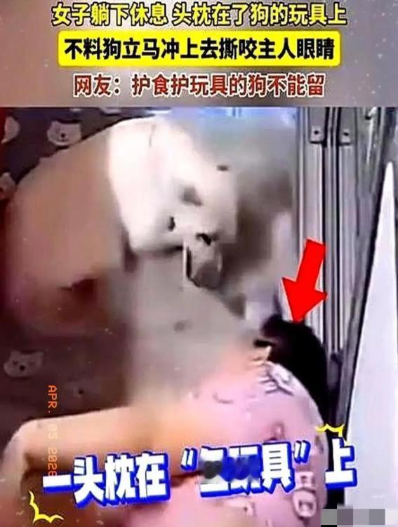 畜生永远是畜生！黑龙江一女子躺下休息，头枕在了狗的玩具上，没想到狗扑到主人的脸上