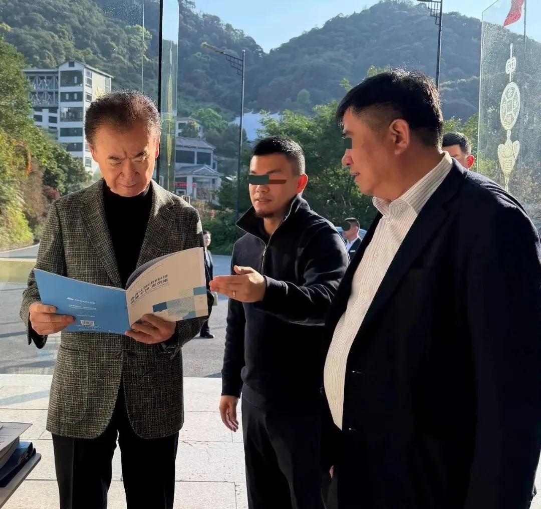 王健林套现失败，万达被逼到悬崖边上。一天前的5月24日，万达新增一则股权司法拍卖