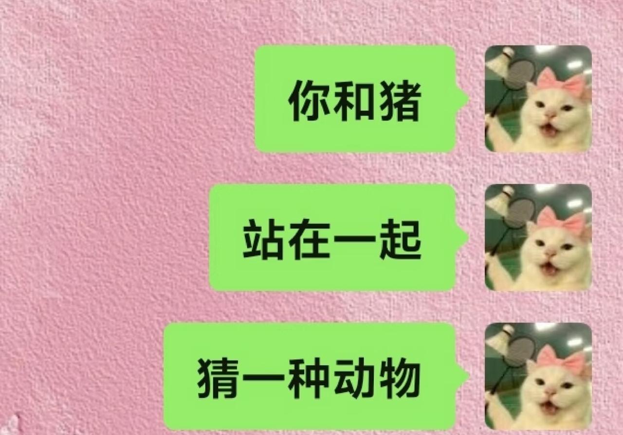 这个梗很难理解吗！​​​