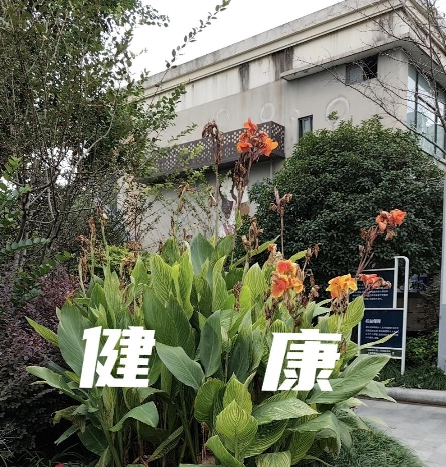 为什么要天天担心癌症会复发？读到一个朋友的文字，他说我天天在担心癌症会不会复发