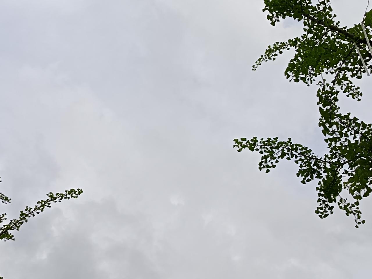 二十多岁的女孩抱着小孩跪在门口声泪俱下的喊叫她的父亲开门，说她知道错了，现在无处