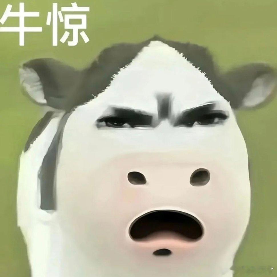 牛牛表情包动漫点评团次元新星计划