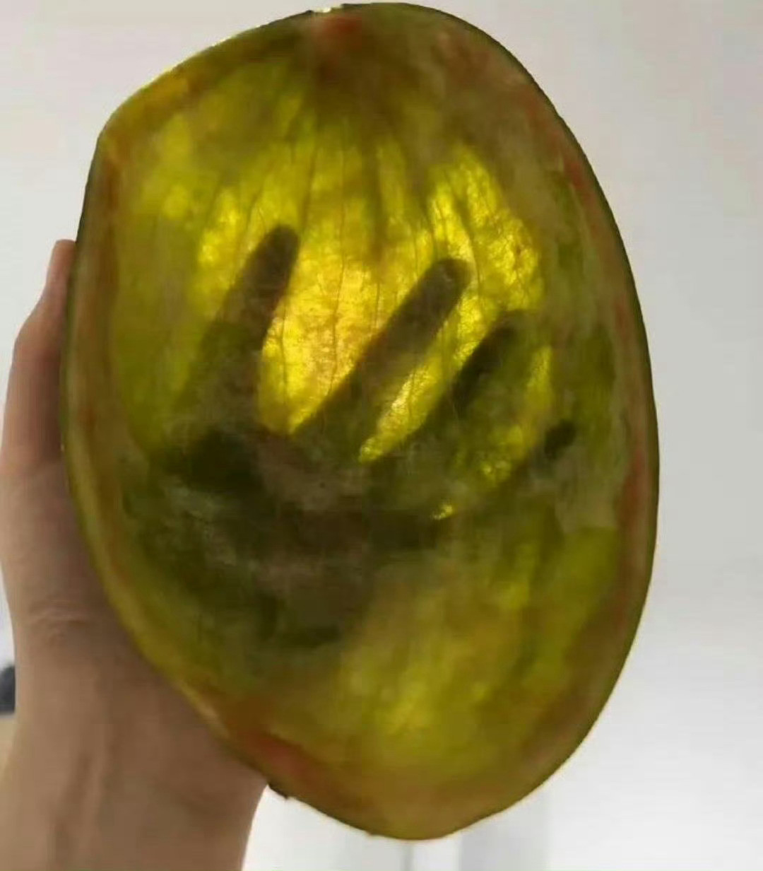 这种西瓜是来报恩的吧！