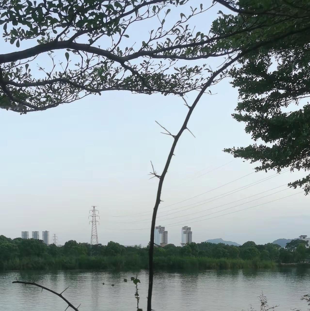 不少退休朋友都在揪心！今年养老金到底还上调吗？7月份已经过完，辽宁、山东、