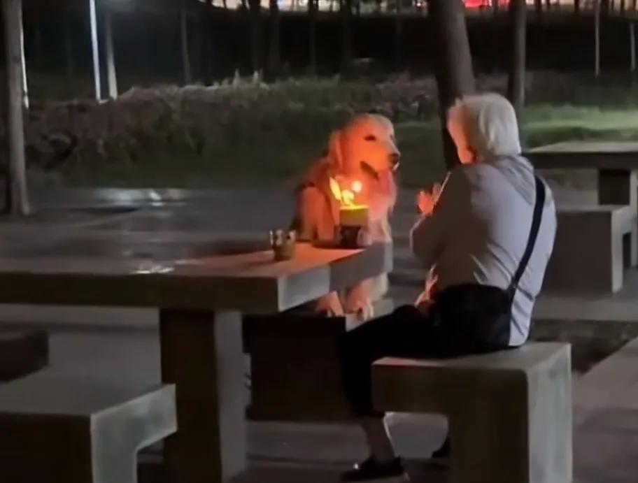 看到一位网友发的视频，一位孤独的老人和她的狗狗在一起过生日，公园里的石椅上，她（