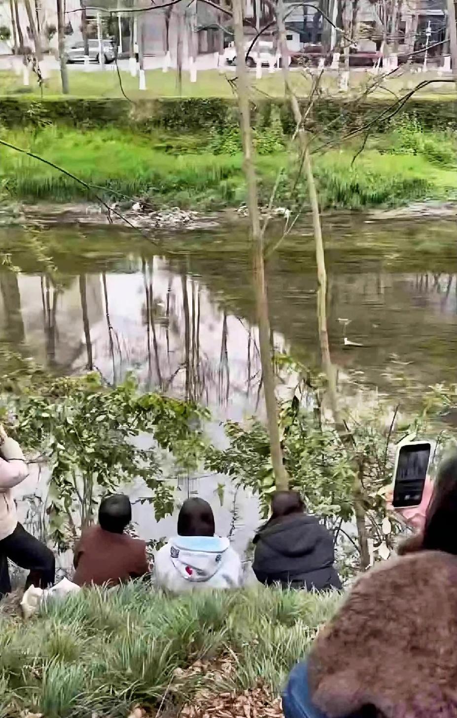 终于看到成都乒乓球基地那条河了，原来球迷都是蹲在这里拍的，真是难为他们了。