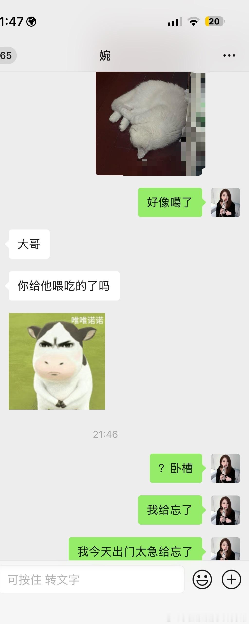 咪咪…不饿不饿…