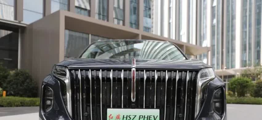 2025年国补政策正式开启了：一：第一次买车，而且名下没有车的，补贴最高