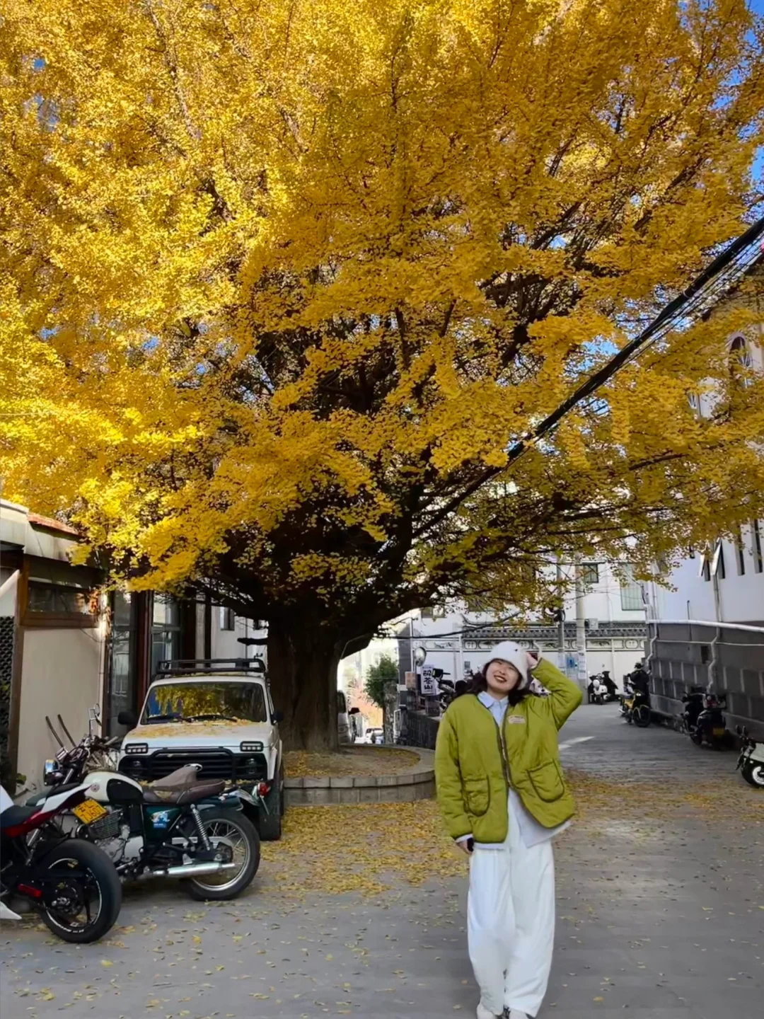 过冬旅行实录| 住过的15个温暖城市旅居分享