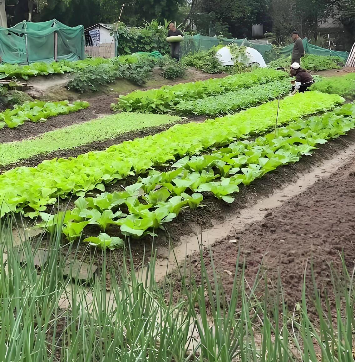 大正月的，和老公吵了好几架。我说他鼠目寸光，他说我忘本，大家快来给我评评理！