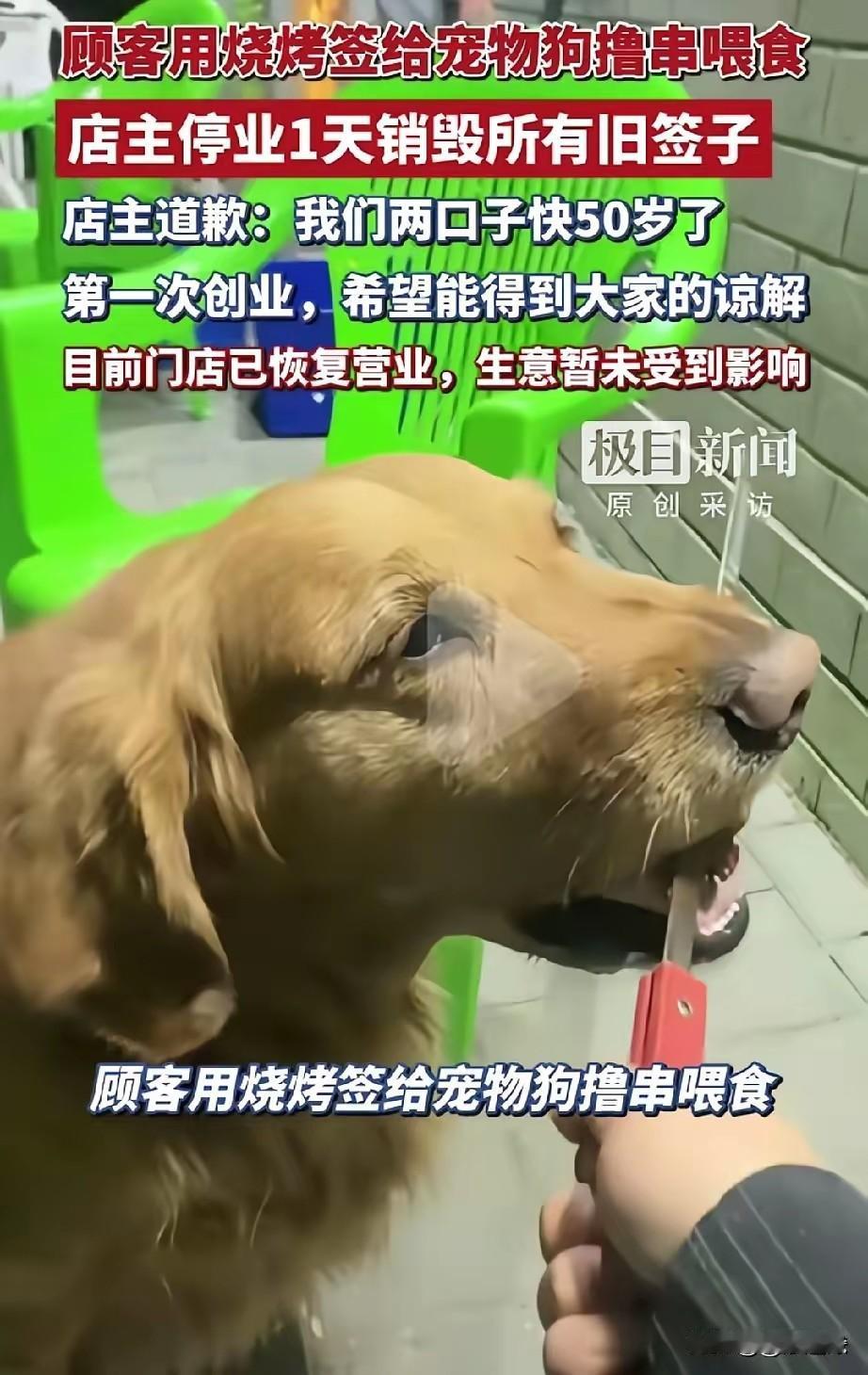 一根沾着狗口水的肉签子随手丢在餐桌上，这画面光是想想就让人反胃。五一假期内蒙古赤