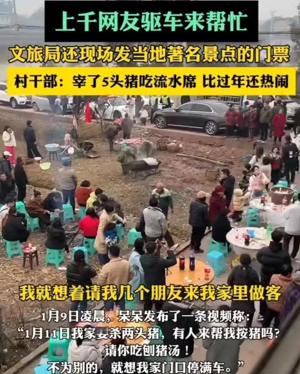 全网突击！重庆杀猪宴惊变“现代版武林大会”，00后女儿一条视频召唤千人进村“