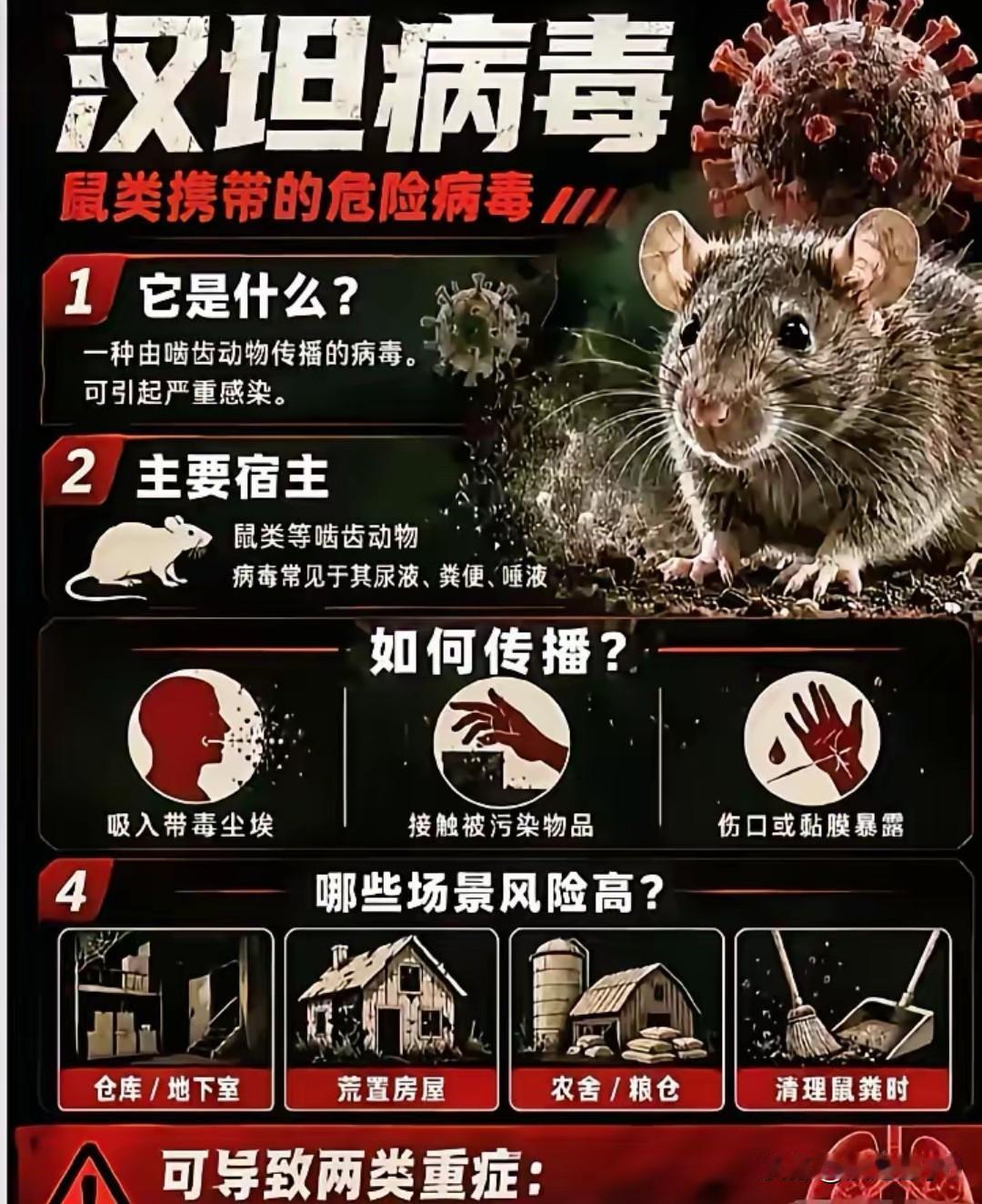 中国游客完美错过病毒，西方甩锅剧本彻底翻车2026年春洪迪厄斯号邮轮暴发汉