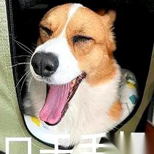 我小区的保安、保洁阿姨，还有楼下棋牌室里那帮退休大爷，全是我“编外”的中介。你