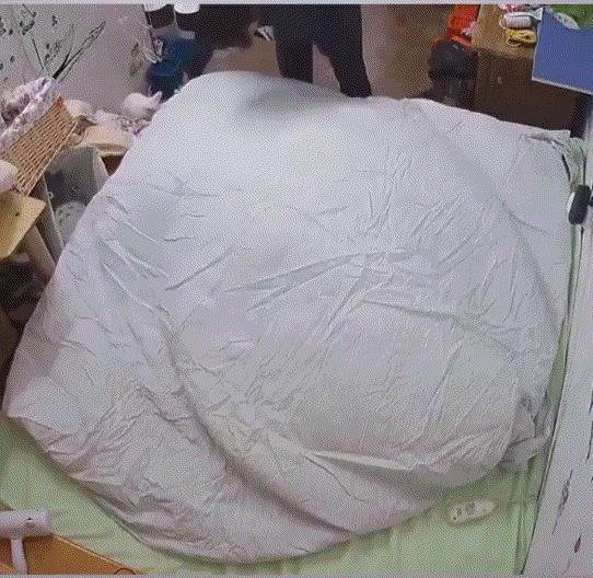 一女子发视频分享，自己在家铺床单时，自己养的一只猫咪跑上床来帮忙压床角的一幕。视
