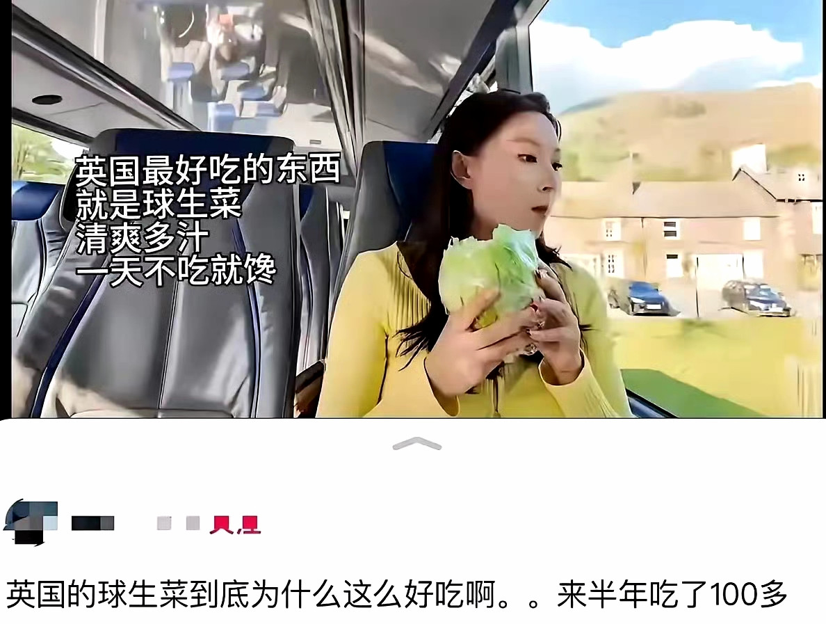 国内遍地都是，也没见你天天抱个生菜球吃，到了国外成香饽饽了