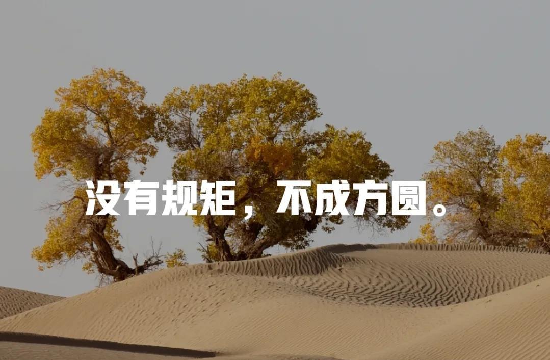老刀先生开演唱会不需要审批，这是很多刀迷圈里面的粉丝这样说的，那我就想问了？难道