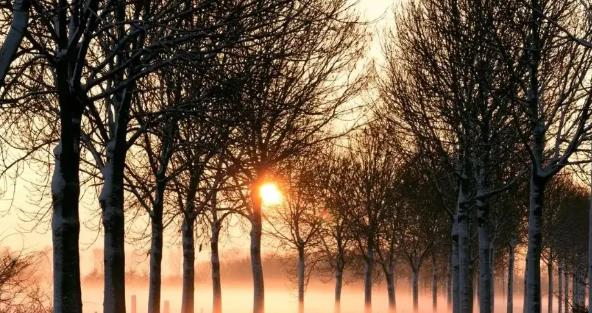 升温→降雪→降温 辽宁省未来三日天气变化趋势