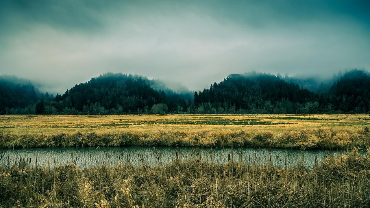 心理学上说：为什么你总觉得“所有人都过得比你好”？不是你失败，是大脑在骗你。