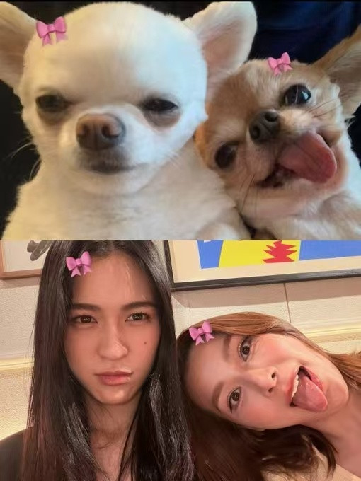 lingorm比较喜欢这一张​​​